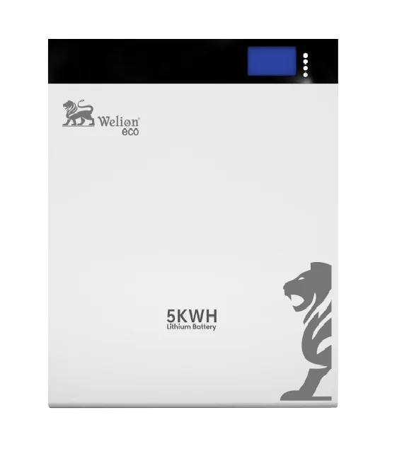 WELION LITHIUM BATTERY 200A 25.6V 5KW ECO